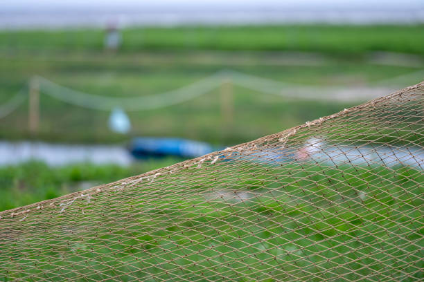 A fishing net rests on the edge of a serene green field by the water, showcasing natural beauty.