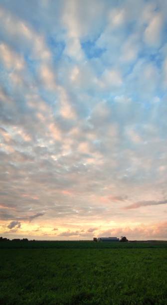 istock Vertical image of beautiful altocumulus clouds over the Plains at Sunset 2174227291