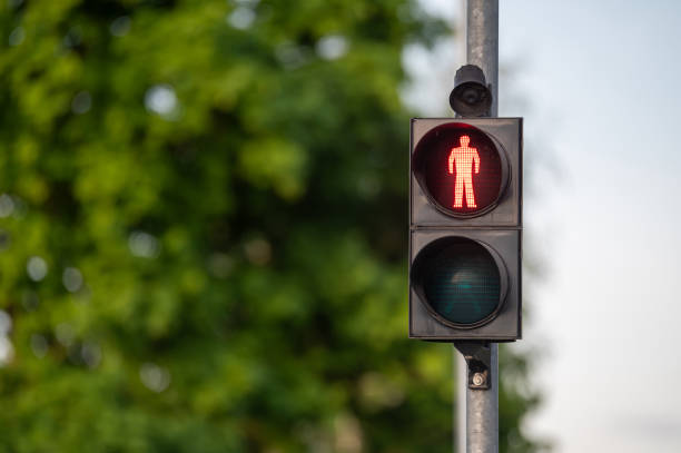 istock Red Pedestrian Traffic Light in Front of Green Trees During Daytime 2174228401