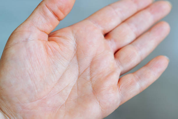 istock female hand palm with life lines 2174228952