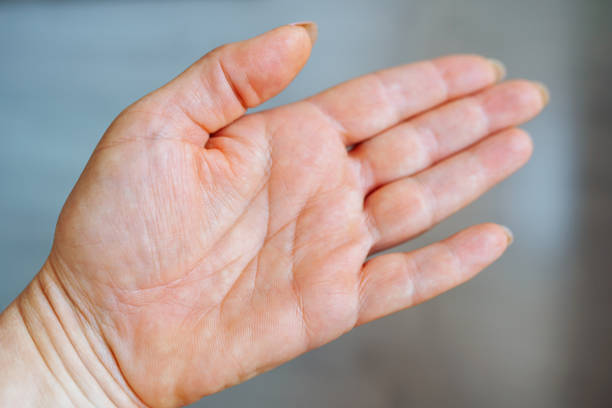 istock female hand palm with life lines 2174229314
