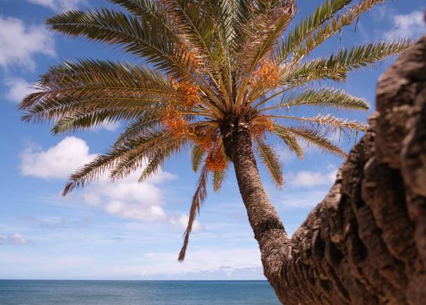 istock Sunset Beach, North Shore, Oahu HI 2174235975