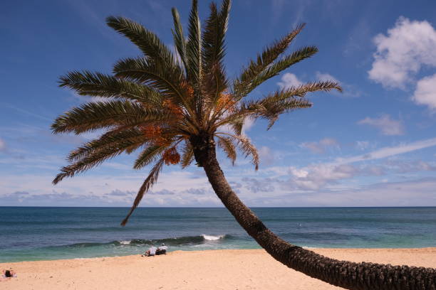 istock Sunset Beach, North Shore, Oahu HI 2174235981