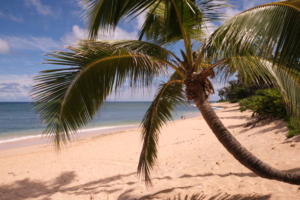 istock Sunset Beach, North Shore, Oahu HI 2174236090
