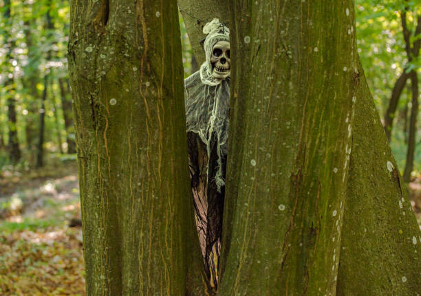 Halloween character in the forest