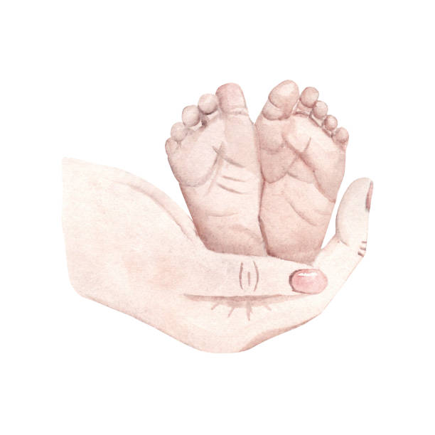 Newborn Baby feet in Mother Hands. Happy Motherhood concept. Hand drawn Watercolor illustration for Mother's day isolated on a white background. For Baby shower and Gender Party Cards and Invitations. Newborn Baby feet in Mother Hands. Happy Motherhood concept. Hand drawn Watercolor illustration for Mother's day isolated on a white background. For Baby shower and Gender Party Cards and Invitations mom child painting stock illustrations