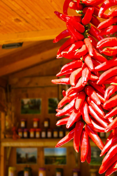 istock dried red chili peppers hanging 2174253977