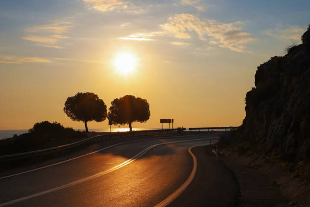 A dramatic silhouette of trees against the sunset sky on a coastal road overlooking the Mediterranean in Finike, highlighting peaceful evening hues.