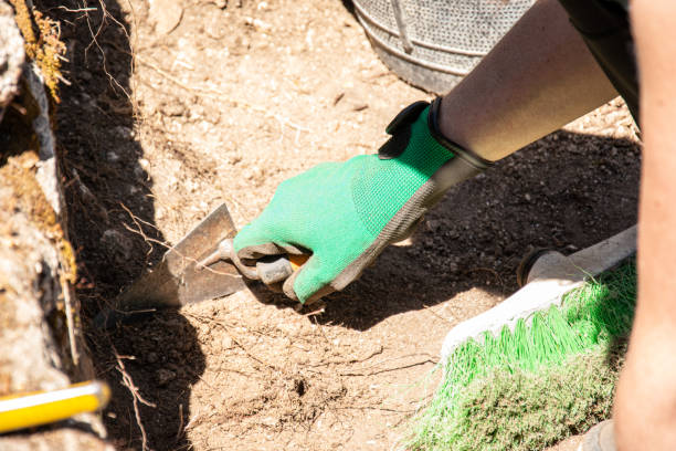 istock an archaeologist working with a trowel on an archaeological excavation 2174257389