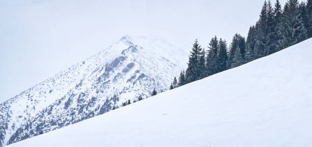 Snowy winter at Tatra Mountains in Poland