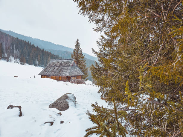 Mountain hut in snowy forest in snow storm