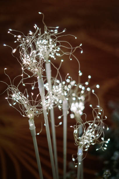 Elegant wedding decorative lights creating a warm, romantic ambiance