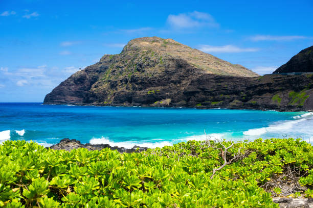 istock Beautiful view of Makapu'u beach park, Oahu 2174280124