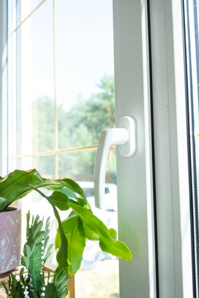 istock Window from inside the house plastic double-glazed window view outside to the sunny forest - interior salon with potted plants, clean glass after cleaning windows, closed window 2174287638