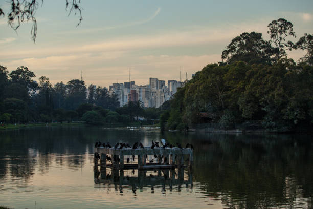istock Ibirapuera Lake spillway 2174292758