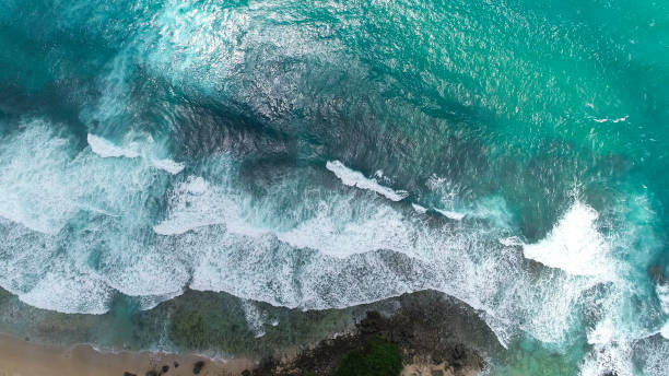 istock Amami Oshima Coral Reef Sea 2174293678