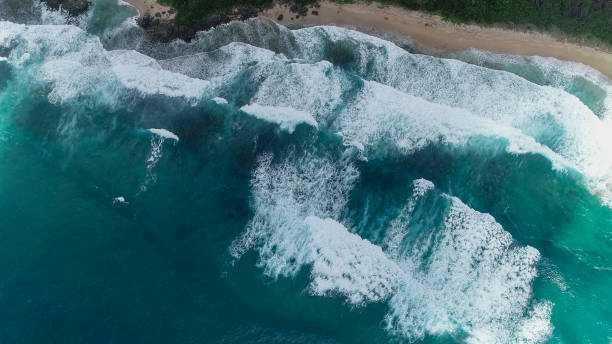 istock Amami Oshima Coral Reef Sea 2174293703