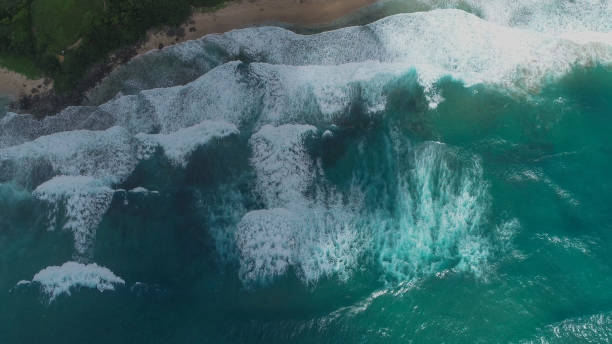 istock Amami Oshima Coral Reef Sea 2174293715