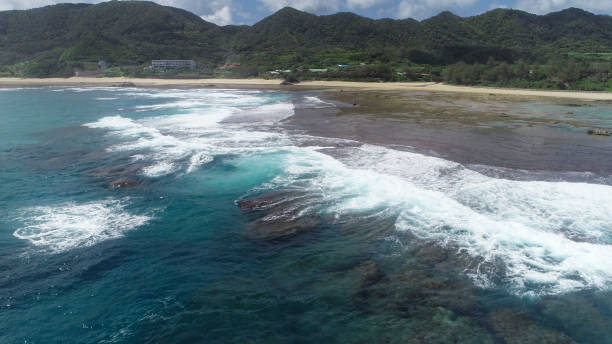 istock Amami Oshima Coral Reef Sea 2174293854