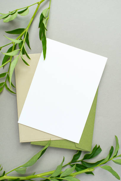 istock Plants and Flowers and Card Mock-Up 2174298057