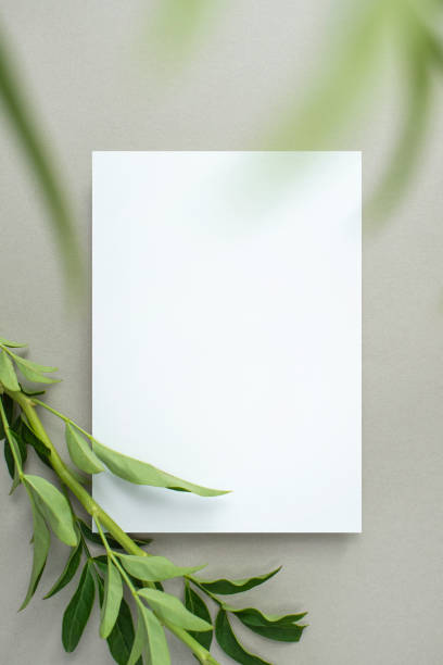 istock Plants and Flowers and Card Mock-Up 2174298121