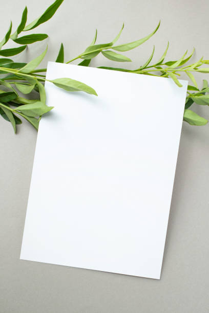 istock Plants and Flowers and Card Mock-Up 2174298125