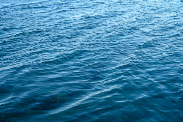 istock Water peacefully rippling during the day 2174298586