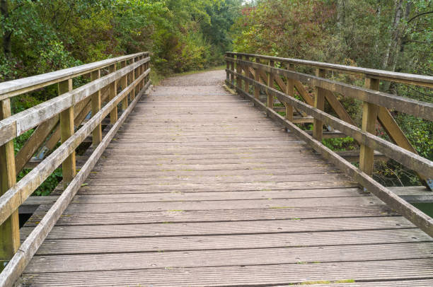 wide wooden bridge with railing over river
