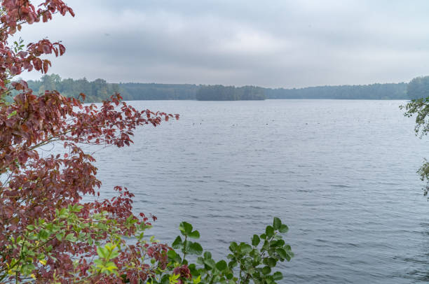 istock Large inland lake in fall in Bottrop, Germany 2174299060