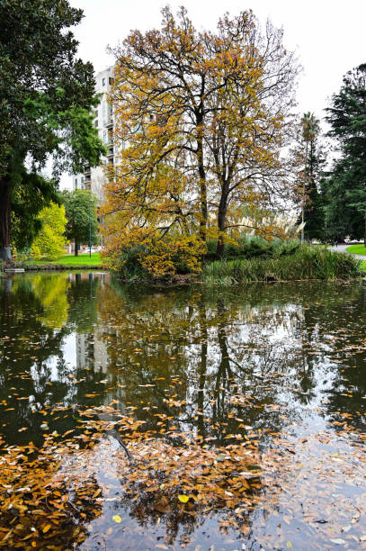 istock Autumn park scene at Melbourne, Australia in May. 2174306676