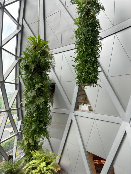 Singapore Jewel Changi Airport Image from inside