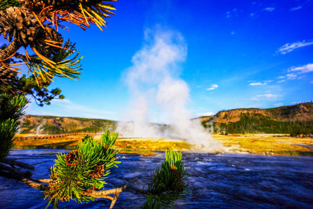 Yellowstone National Park, unique landscapes, geothermal features, Old Faithful Geyser, Yellowstone Lake, Grand Canyon of the Yellowstone, hot springs, mud pots, sulfur springs, mineral deposits, wildlife, bison, elk, bear, wolf, forest, river, waterfall, volcanic activity, natural wonder