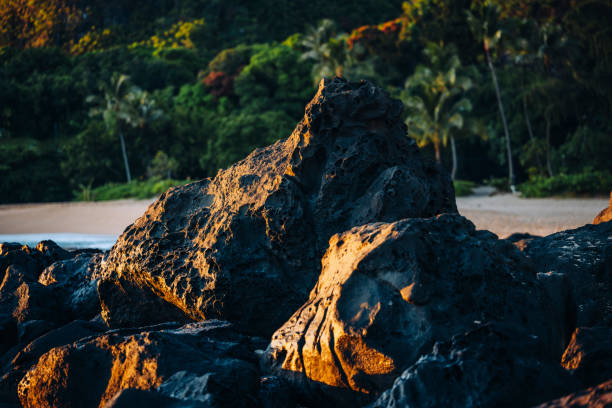 Exploring the beautiful Nature on Hawaiian islands in sunset light
