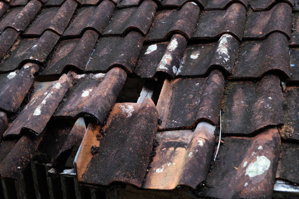 istock Clay roof tiles 2174314146