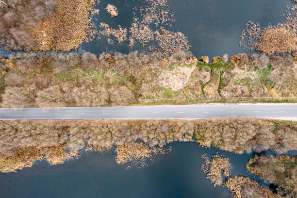 istock country road passing through wetlands. natural pattern background. aerial top view. 2174314163