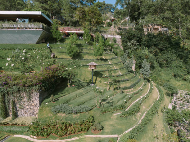 istock Artificial hill resembling terraced rice fields, but made of layered soil planted with Chinese grass 2174317155