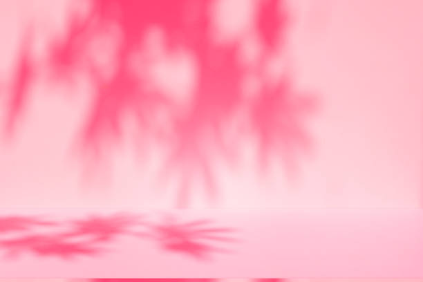 istock Wall interior background, studio, and backdrops show products. with shadow from window color white and pink light. background for text insertion and presentation of product 2174317377