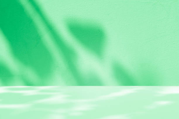 istock Wall interior background, studio and backdrops show products.with shadow from window color green . background for text insertion and presentation product 2174317390