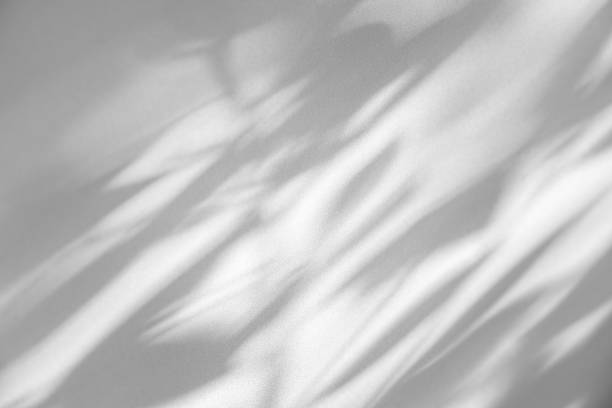 istock Studio style background wall decoration presentation uses white tones. with shadows cast from a nearby window, concept creating a decorative backdrop. 2174317416