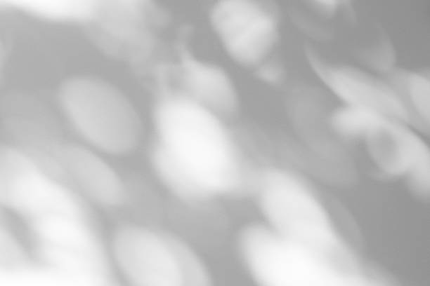 istock Wall interior background, studio and backdrops show products.with shadow from window color white . background for text insertion and presentation product 2174317422