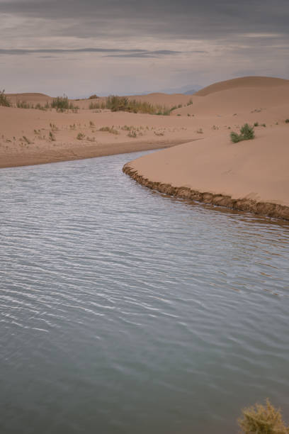 istock Beautiful untouched sand dunes along the river in Inner Mongolia, China 2174318653