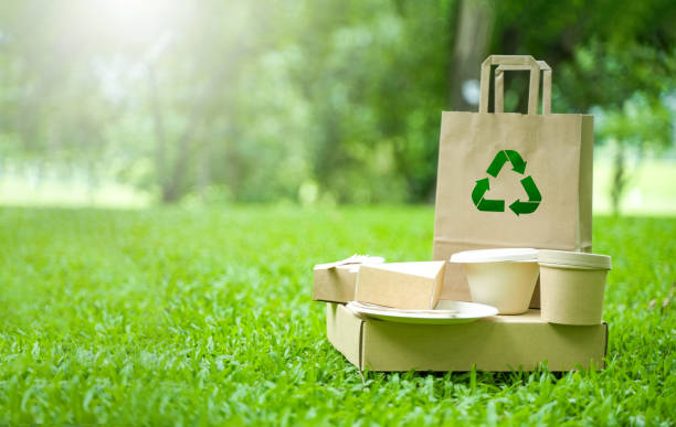 istock Eco-Environmentally friendly paper containers and packaging made from biodegradable materials, zero waste and recycling concept, green or disposable packaging. 2174319931