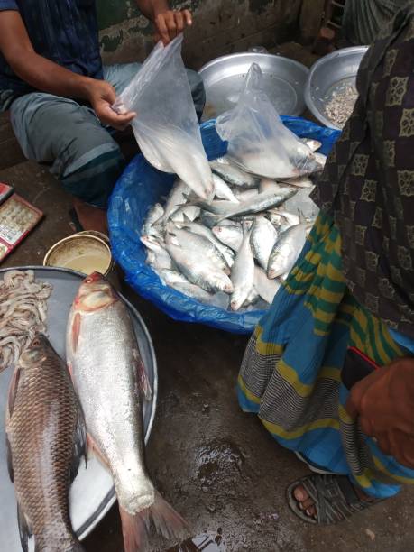 istock Environment pollution by polythene start from using it. Fish market. Selling Hilsa, Rui, Carp in Polythene bag. 2174324094