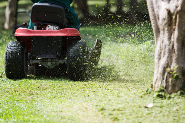 istock Gardener using lawn mower trimming a grass in backyard. 2174324953