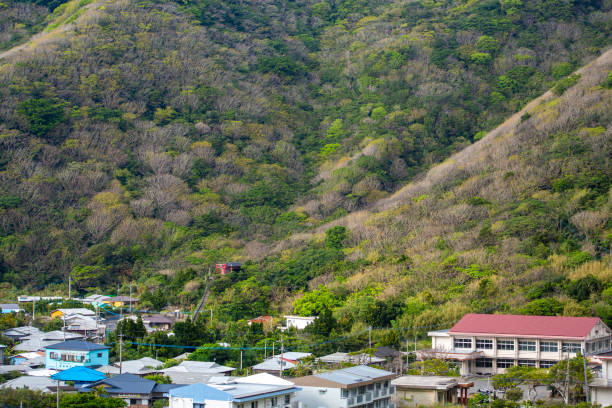 istock Fresh green mountains of Amami Oshima 2174329090