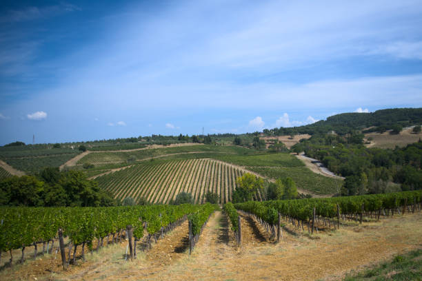 istock Tuscany hills during summer time 2174330045