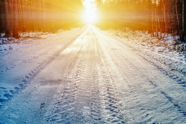 Winter road through the forest in the morning