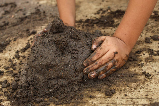 istock small child's hands playing with sand and mud. child playing outdoors with mud 2174331722