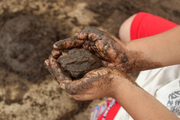 small child's hands playing with sand and mud. child playing outdoors with mud