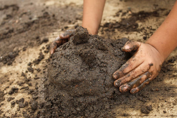 istock small child's hands playing with sand and mud. child playing outdoors with mud 2174331753